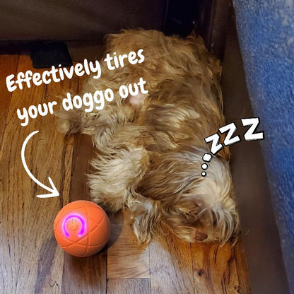 Interactive Bouncing Ball for Dogs | Self-Moving & Direction-Changing, LED Lights, USB Rechargeable for Indoor Chase & Play