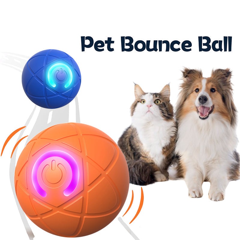Interactive Bouncing Ball for Dogs | Self-Moving & Direction-Changing, LED Lights, USB Rechargeable for Indoor Chase & Play