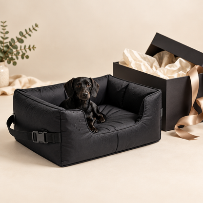 Conceptual gift presentation, packaging not verified